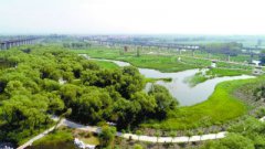 211公顷多样湿地净化永定河来水